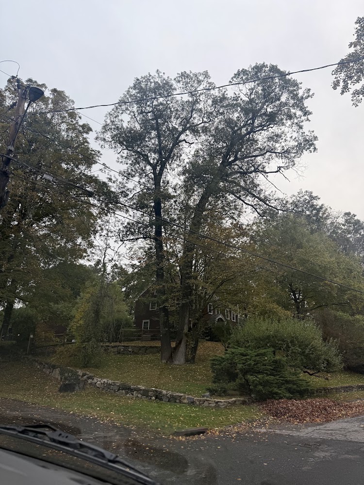 Paul Casey & Sons Roofing Llc