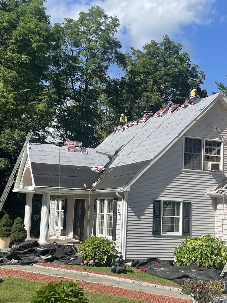 Aardvark Roofing