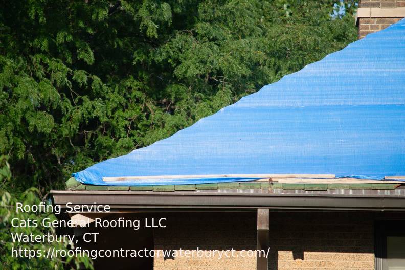 Cats General Roofing LLC
