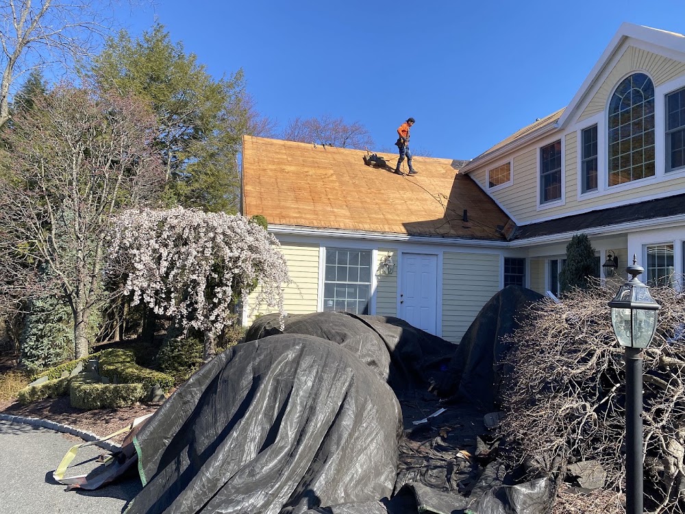 Brown Roofing