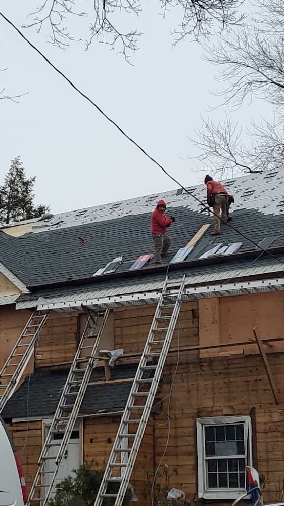 Nelson's Roofing