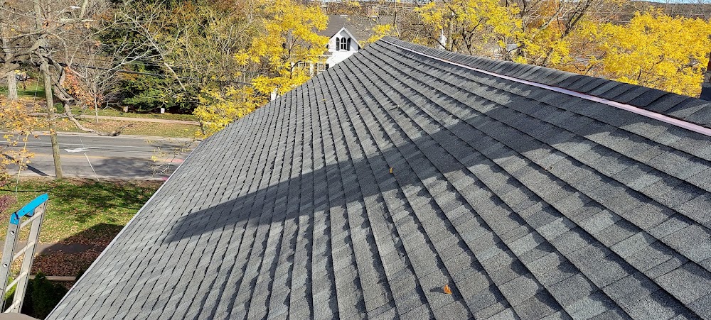 Thor Roofing