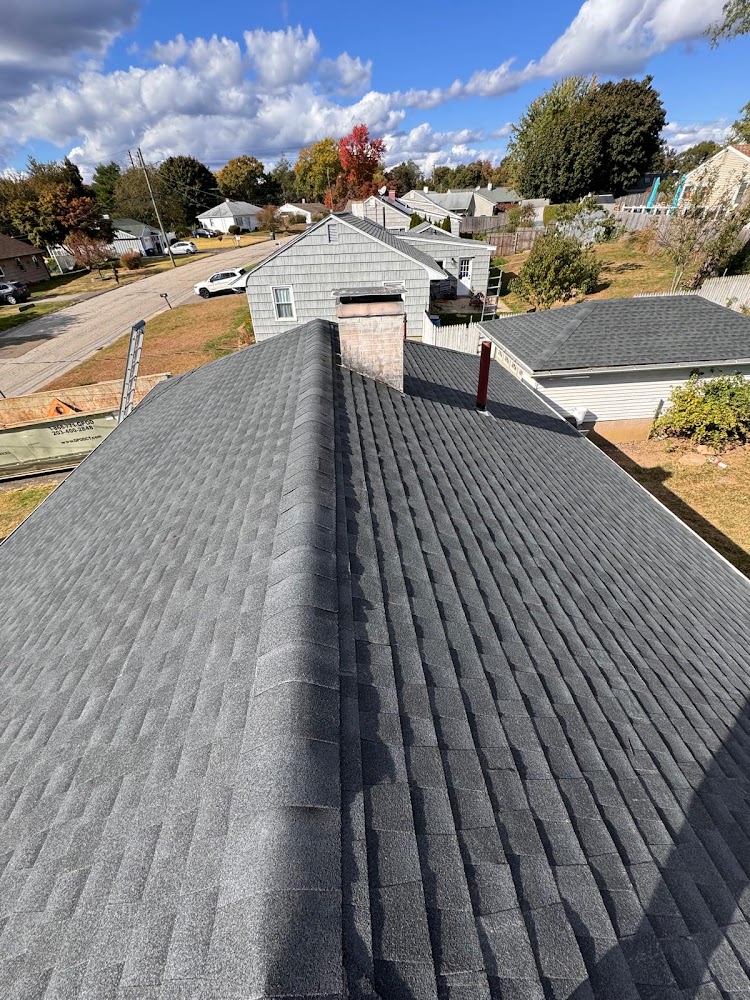 David Roofing & Full Construction and Tree Remove