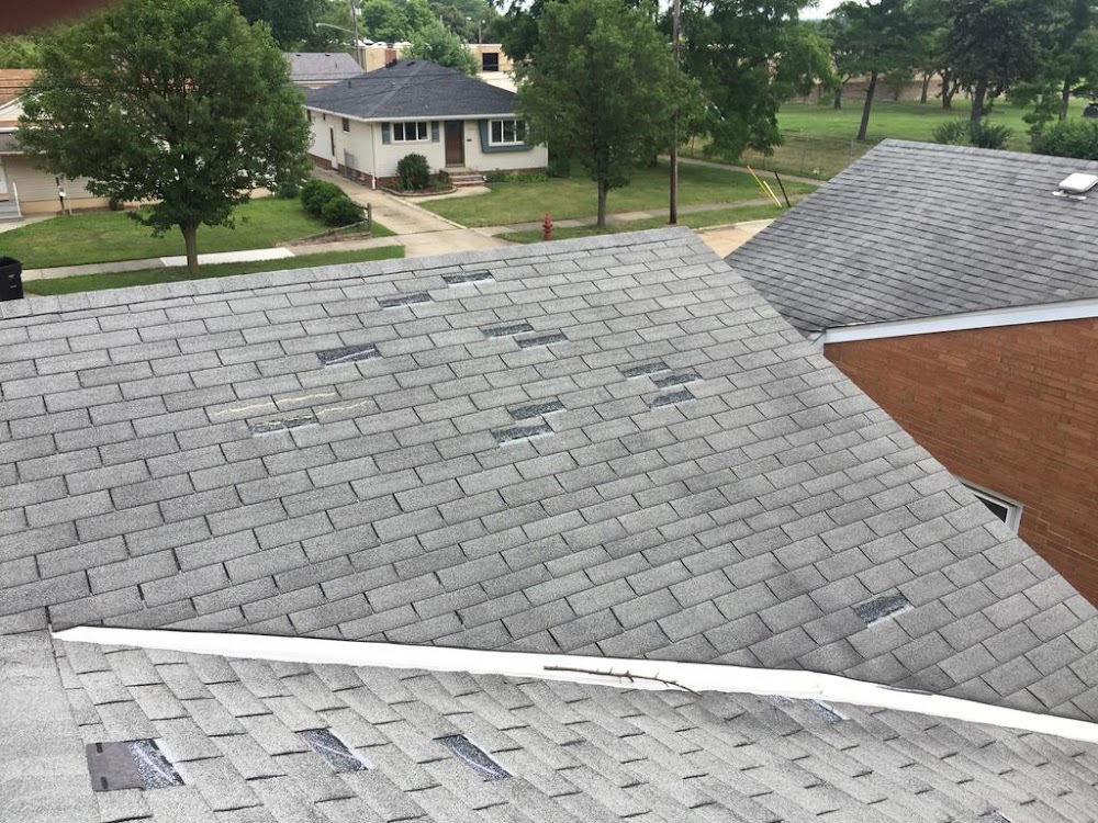 Mini Beast Roofing LLC